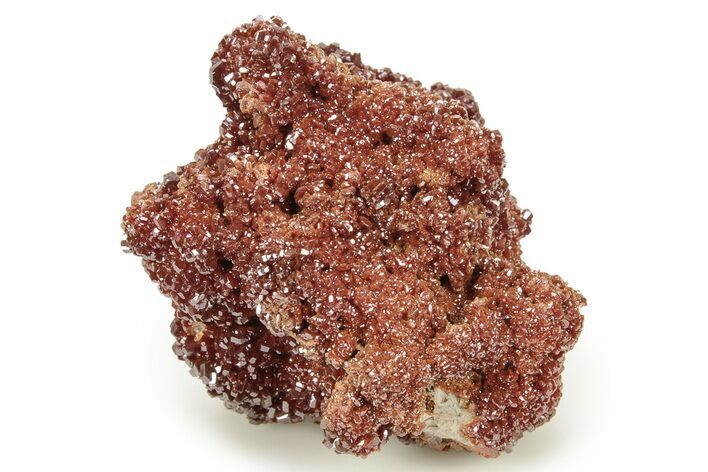 Glittering, Ruby Red Vanadinite Crystals on Barite - Morocco #278241